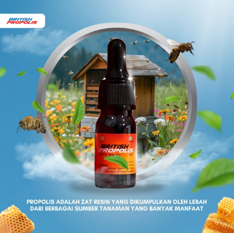 Foto Produk British Propolis Reguler